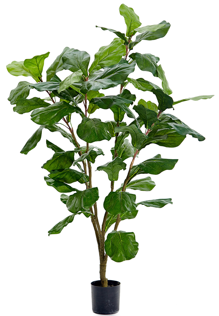 Fiolfikus Kunstig Plante 609 DKK Kunstige Planter Trendrum dk fiolfikus-kunstig-plante-609-dkk-kunstige-planter-trendrum-dk